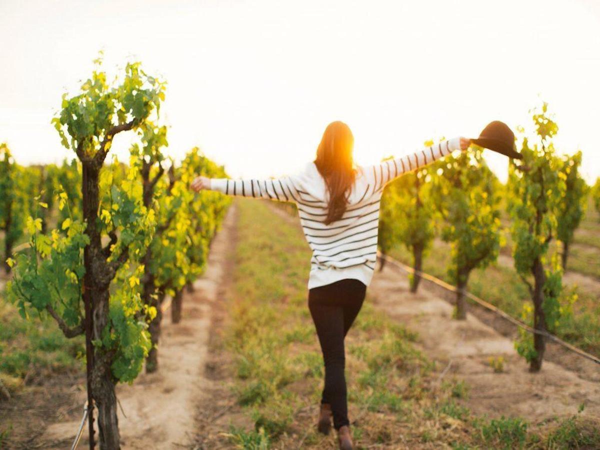 Bordeaux Inn Lodi Zewnętrze zdjęcie